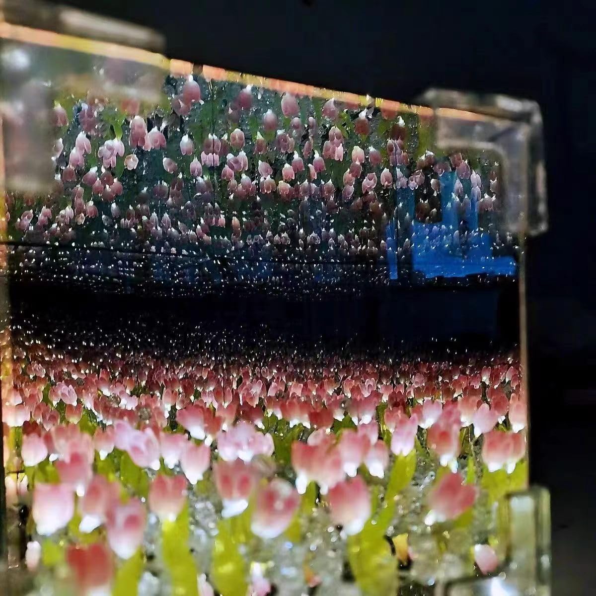 Tulip Infinity Night Lamp™