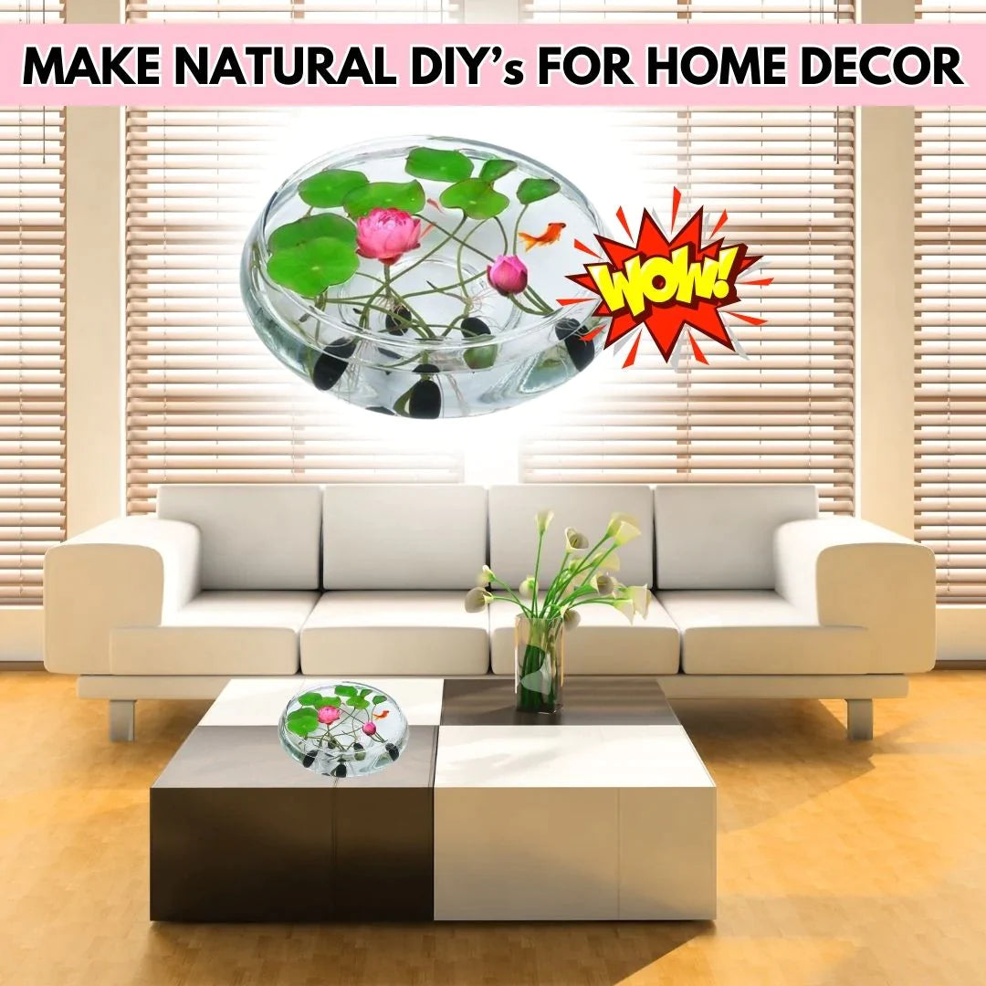 The Premium Lotus Flower Seeds