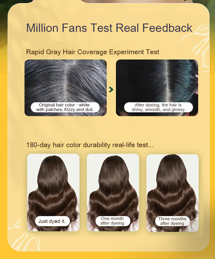 Japanese Long Lasting Natural Hair Dye Shampoo (Buy 1 Get 2 Free)