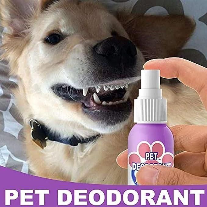 Oral Spray For Dogs & Cats (Buy 1 Get 1 Free)